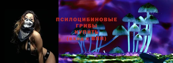 a pvp Бородино