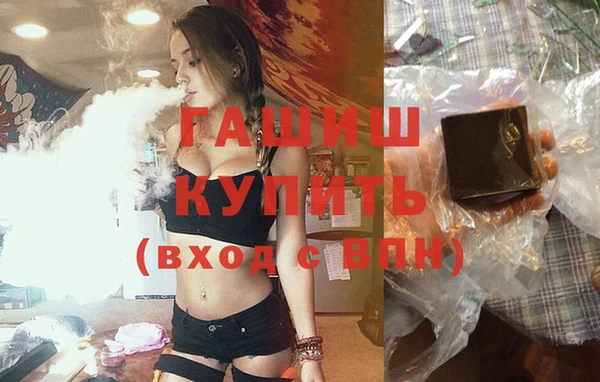 a pvp Бородино
