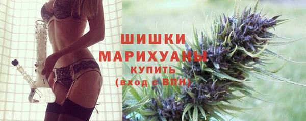 молекула духа Бронницы